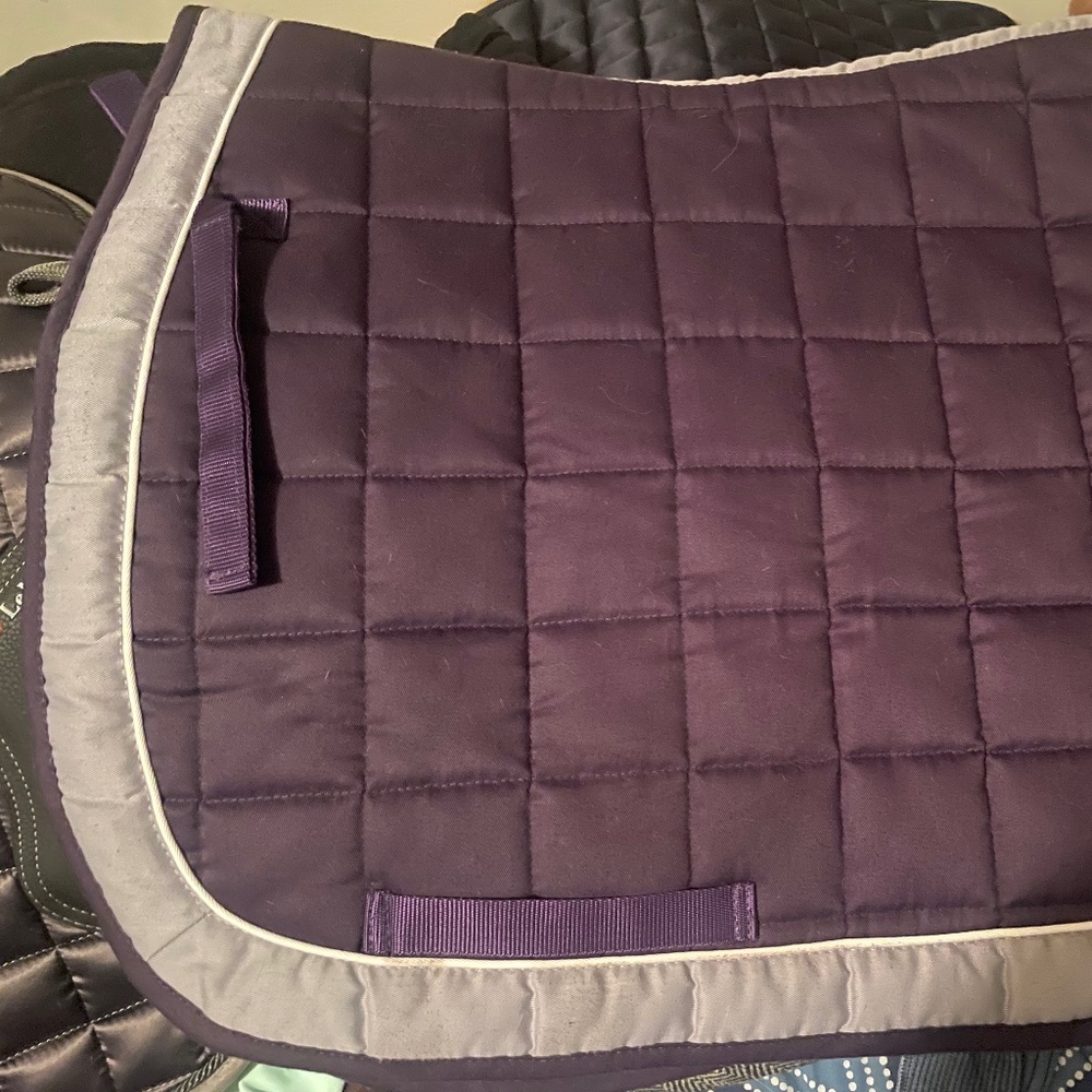 Purple and gray dressage saddle pad